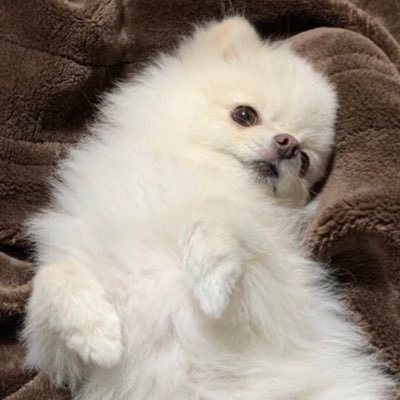 痩せろ節約しろさんのプロフィール画像