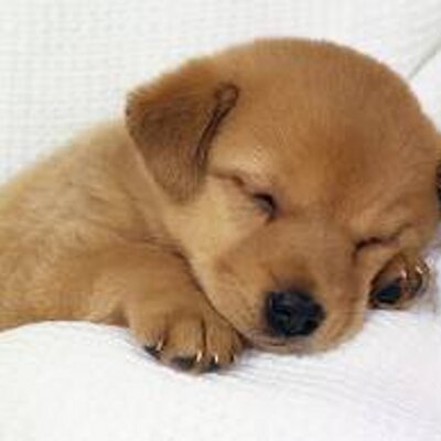 Profile Picture of Leyna Le &nbsp;♒ (@leynale33) on Twitter