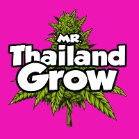 Mr. Thailand Grow(@grow_thailand) 's Twitter Profile Photo