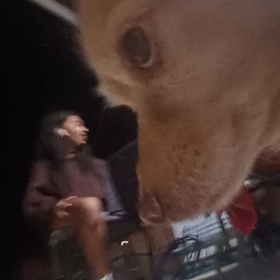 Pixietweetz's profile picture. *Your Fairy Godmother*
🦕🤪🤓🧘‍♀️🥓🎨📷📖💛
She/Her, Motto: Just Breathe!