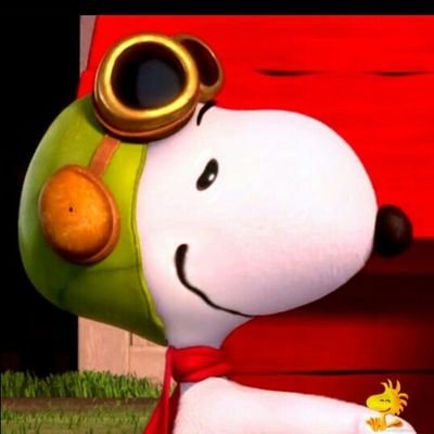 7binorico's profile picture. Ave