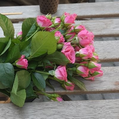 inessa2022ua's profile picture. Смерть рашистам