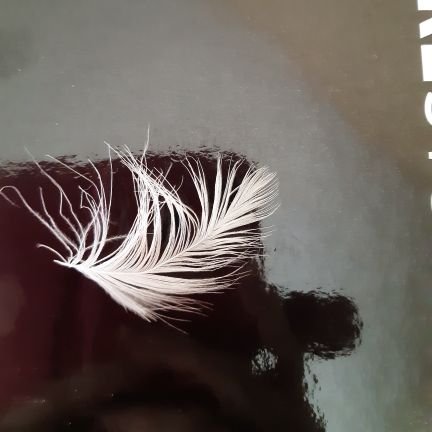 White_Feather