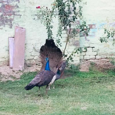 हर रोता हुआ लम्हा मुस्कुराएगा।। तू सब्र रख आपना भी वक्त आएगा।।...