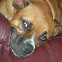 chuck.HENRY - @henry_chuck - Twitter