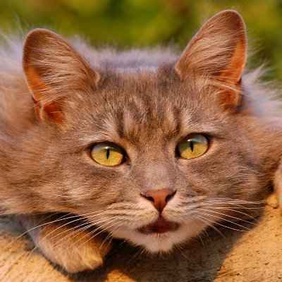 bleep_bloop03's profile picture. I want to sleep