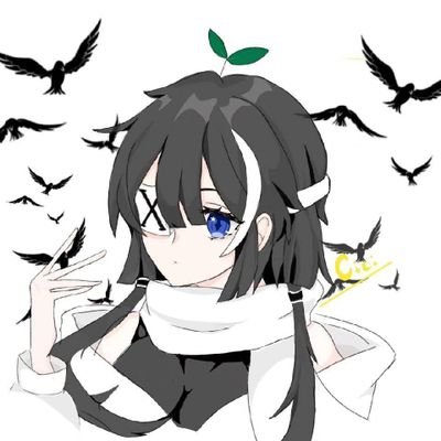 ciciさんのプロフィール画像