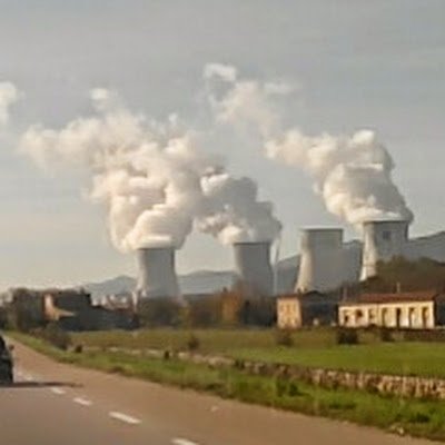 1981yann's profile picture. 