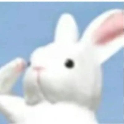 Ladybird0503's profile picture. A free bird