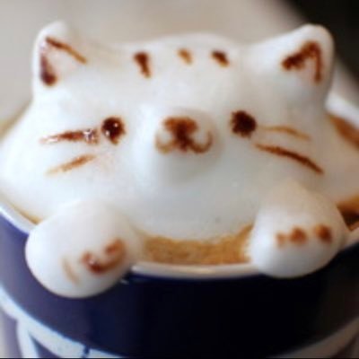 ワンオペで日々を駆け抜けるミドサー母💐/14y+0y(12/19生)の年の差姉弟/ステップファミリー/子育ても惚気も愚痴もぜんぶわたしの日常なので垢分けしてません/無言フォロー失礼します𖤣𖥧