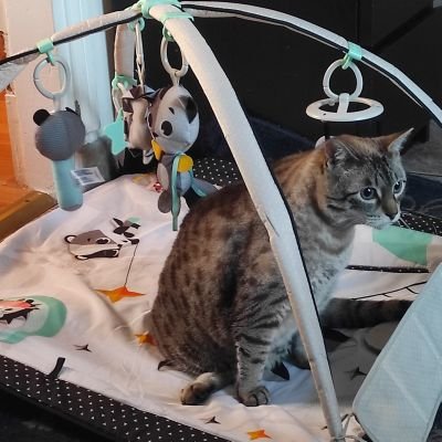 LiviaMum's profile picture. 