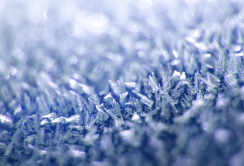 SophieM329's profile picture. 