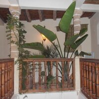 Riad Remmy,Essaouira (@riadremmy) 's Twitter Profile