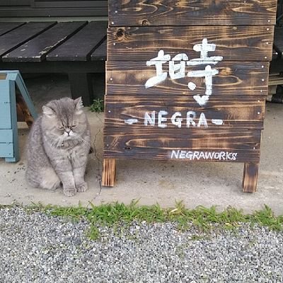 可視光線療法サロンの塒です。太陽光に似た光(紫外線・可視線・赤外線)と熱の作用を利用した自然療法(民間療法)です。疲労、肩凝り、腰痛、神経痛、冷え性、打撲傷、筋肉痛、リウマチの痛み緩和などの効果があります。https://t.co/QuChRFo5tN