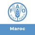 FAO au Maroc (@FAOMaroc) Twitter profile photo