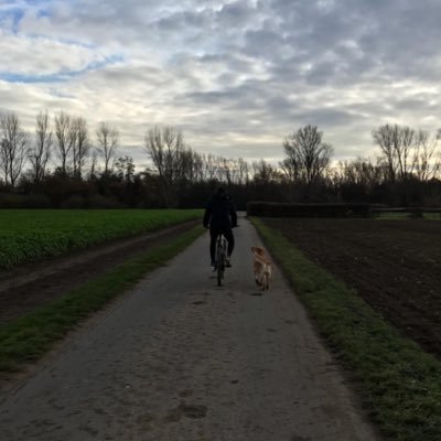 Louighi00's profile picture. Mathematics and Computer Science