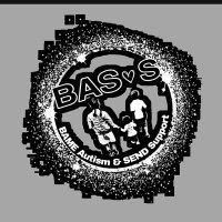 BASS(@_BASSupport) 's Twitter Profile Photo