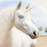 Unicorn 🦄 (@ensunicorn) Twitter profile photo
