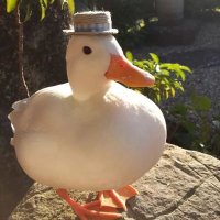 eendentemmer (@eendentemmer) 's Twitter Profile