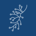 Lung Cancer Policy Network (@lungpolicy) Twitter profile photo Lung Cancer Policy Network (@lungpolicy) Twitter profile photo