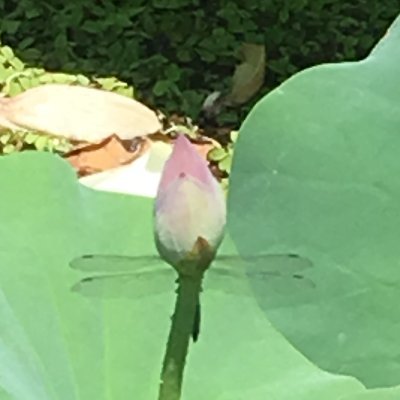 평등, 존중, 공동체!
굥찍은 인간들 혐오함. 민주당 내부에서 생각이 다르거나 지지대상이 차이가 있다고 혐오 튓 날리는 인간들도 혐오함.