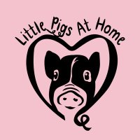 littlepigsathomeanimalsanctuary(@littlepigsatho1) 's Twitter Profile Photo