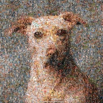 leprebrahm's profile picture. 