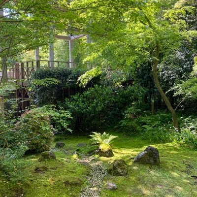 0620Sl's profile picture. ❤️アルビレックス新潟#41😍❤️NEXZ#YU🐈‍⬛❤️