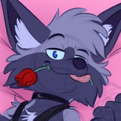 🔞 Spicy Dork Fox 🔞 |💎 Team Crystal 💎さんのプロフィール画像
