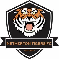 Netherton Tigers FC Solihull (@nethertontfc) 's Twitter Profile