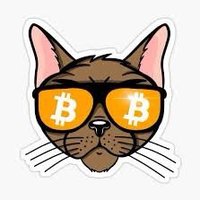 CG 🚀 (@cryptogazzetta) 's Twitter Profile