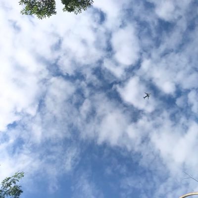 duplicacy143's profile picture. The woods are lovely, dark and deep. But I have promises to keep, and miles to go before I sleep. ~Robert Frost