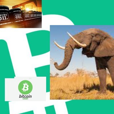 ph_rivers's profile picture. Bitcoin cash adoption through Education. Buy,sell and use BCH as means of payment of goods and services. Our goal in Rivers state Nigeria.