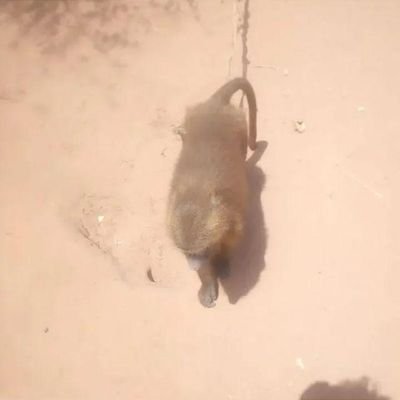 dembabjng's profile picture. 