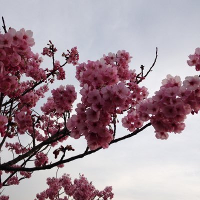 toto06015892's profile picture. 株や先物をやっています。