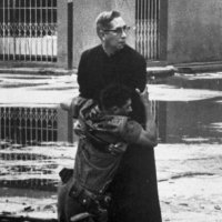 Notaroleplayer (@germanzoomer) Twitter profile photo