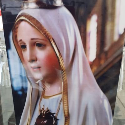 AILEMBEATRIZARI's profile picture. Catolica100%