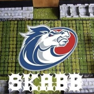 South Kent Area BloodBowl (SKABB) based in and around Folkestone. New coaches welcome. Follow us for league&tournament updates.
https://t.co/SBKM6Y57XK