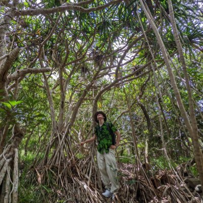 千葉大→東大院附属植物園 変わった植物と昆虫の研究をしています Pollination biologist based in Japan 🧬→@ChannelYurufuwa