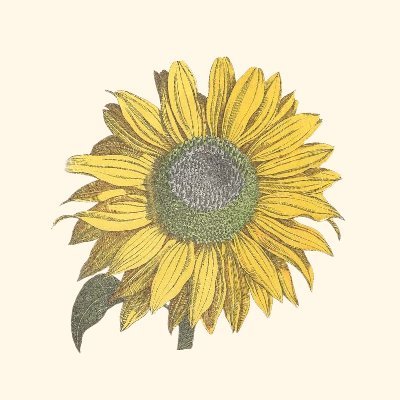 gooddirtpodcast's profile picture. A weekly podcast from Lady Farmer with expert interviews and actionable takeaways as we dig deep to make our lives — and the planet — a little better.