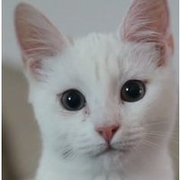 Mark F (@markfreemymind) 's Twitter Profile