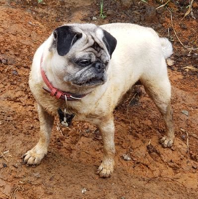 RaulCas31122301's profile picture. 