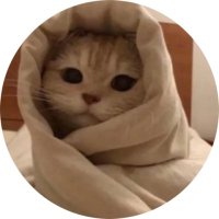 cat with confusing auras.(@cat_auras) 's Twitter Profile Photo cat with confusing auras.(@cat_auras) 's Twitter Profile Photo