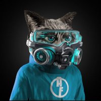Pete Hill (@cudopete) 's Twitter Profile
