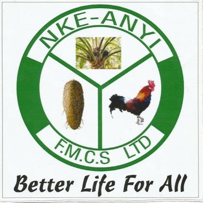 Nke-Anyi mission is to improve the income and living conditions of sustainable small-scale palm fruits producers/millers and their families.