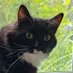 GDB (@gdbartist1) Twitter profile photo GDB (@gdbartist1) Twitter profile photo