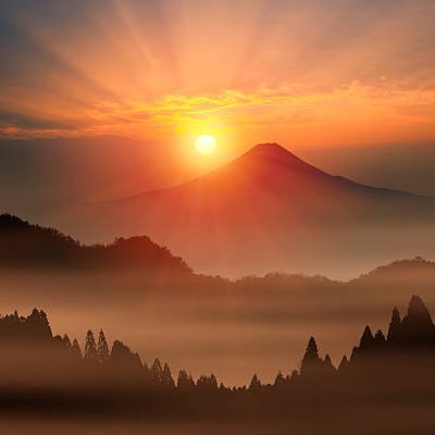 IYdRumnLfz13pMg's profile picture. 