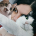 Roni (@roniatomeret) Twitter profile photo Roni (@roniatomeret) Twitter profile photo