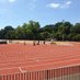 Tooting Bec Athletics Track & Gym (@tootingbectrack) Twitter profile photo Tooting Bec Athletics Track & Gym (@tootingbectrack) Twitter profile photo