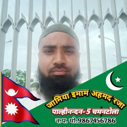 Madarsa Adhunik Teacher 
Principal At Jamia Ahmad Raza Palhinandan- 5 ChamaIntola Nawal Parasi Province-5 Nepal